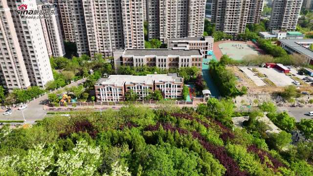 历下教育名校展:名士小学校园风景