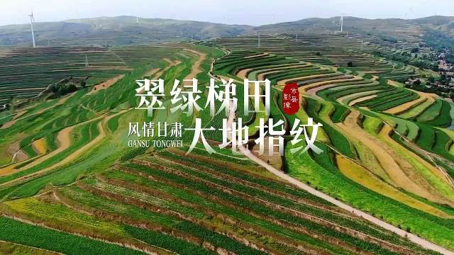 【风情甘肃】翠绿梯田 大地指纹
