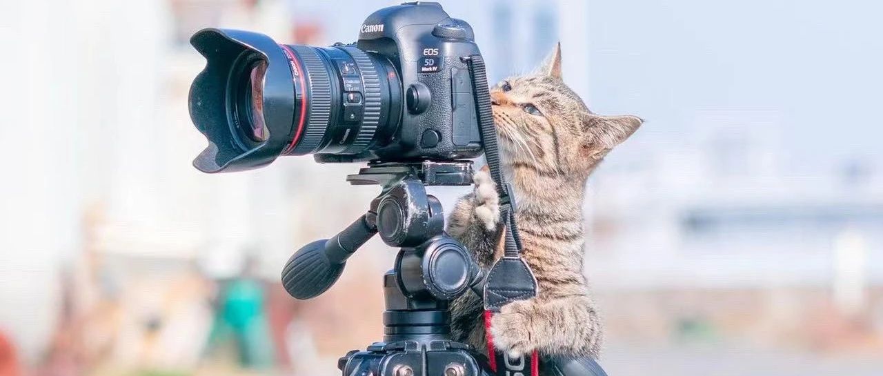 美债，当前确定性最高的资产？