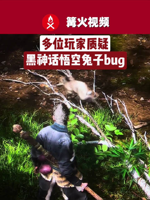 玩家质疑黑神话悟空兔子bug_手机新浪网