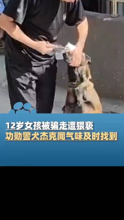 12岁女孩遭猥亵被警犬及时找到_手机新浪网