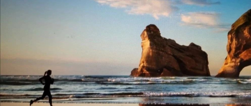 泸州老窖每季的营收与净利润几乎相当，不可思议