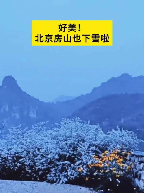 北京下雪了吗2022图片