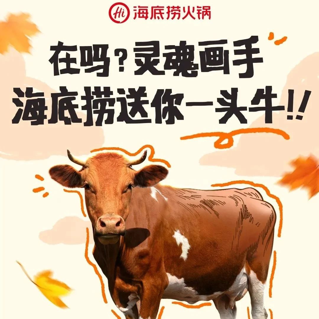 画牛得牛，海底捞真牛！