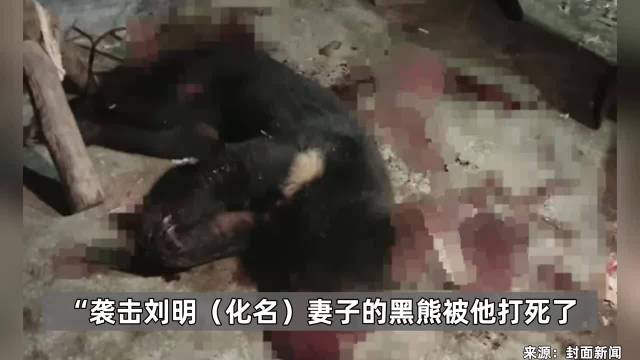 58岁丈夫讲述搏斗半小时杀熊救妻锤打斧劈锛锄砍拼尽全力才有活路