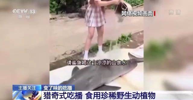 “提子”视频中的鲨鱼确是噬东谈主鲨(也称大白鲨)。新闻截图