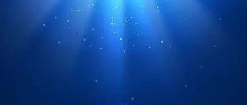 管涛：2025年宏观经济趋势展望