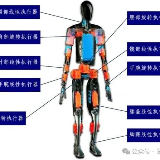 2025-2031年人形机器人执行器行业市场调研及发展趋势预测报告