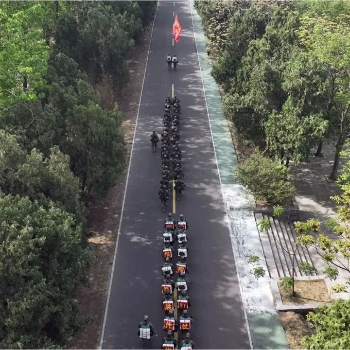 走，跟兵哥哥一起“徒步”去！