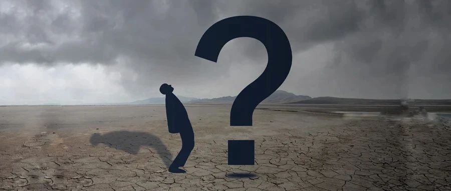 梦幻的核桃：“六个核桃”1 个核桃都没有市值搞到 300 亿Q1 营业额同比下降19.70%，16 亿豪赌半导体拉个概念！
