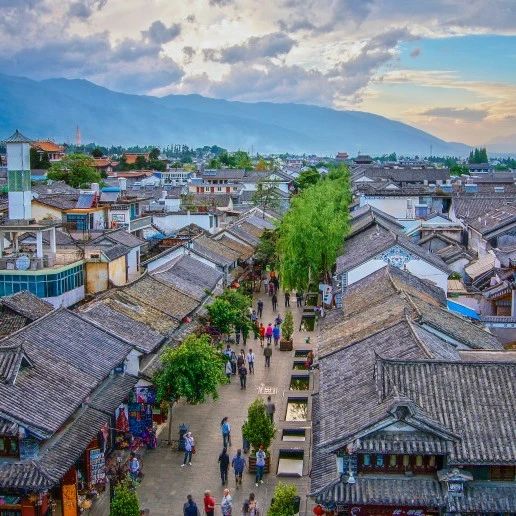 网红城市，“凉”于2025