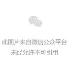 AI、机器人和人类的未来 | 瑞银亚洲投资论坛