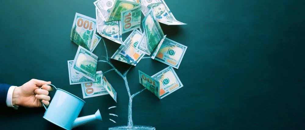 Isomorphic应用SEO优化技巧 vue SEO优化策略