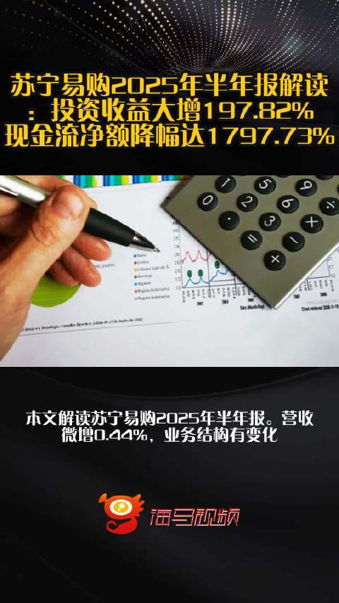 苏宁易购2025年半年报解读：投资收益大增197.82%，现金流净额降幅达1797.73%_手机新浪