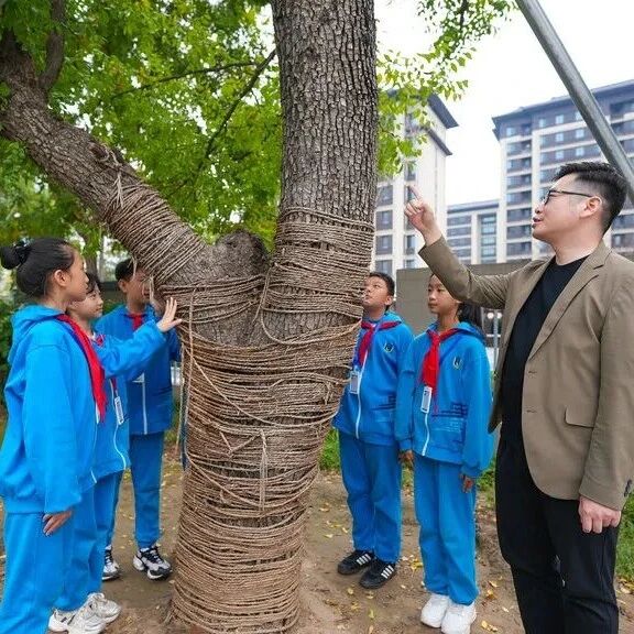 在雄安,把“乡愁”种进校园里