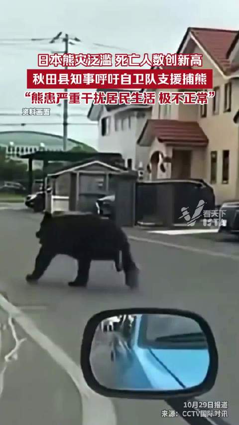 日本7个月12人遭熊袭击丧生 防卫省正在研究派遣自卫队支援