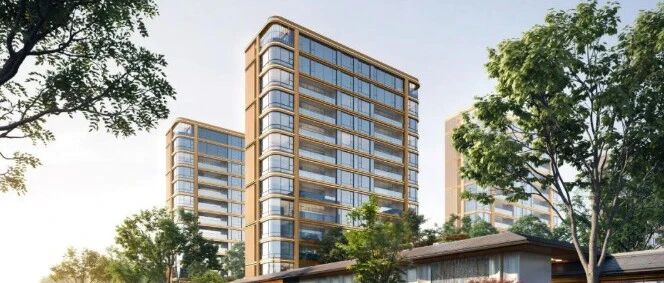 飞阅楼市第206期丨这些项目为何能够脱颖而出？