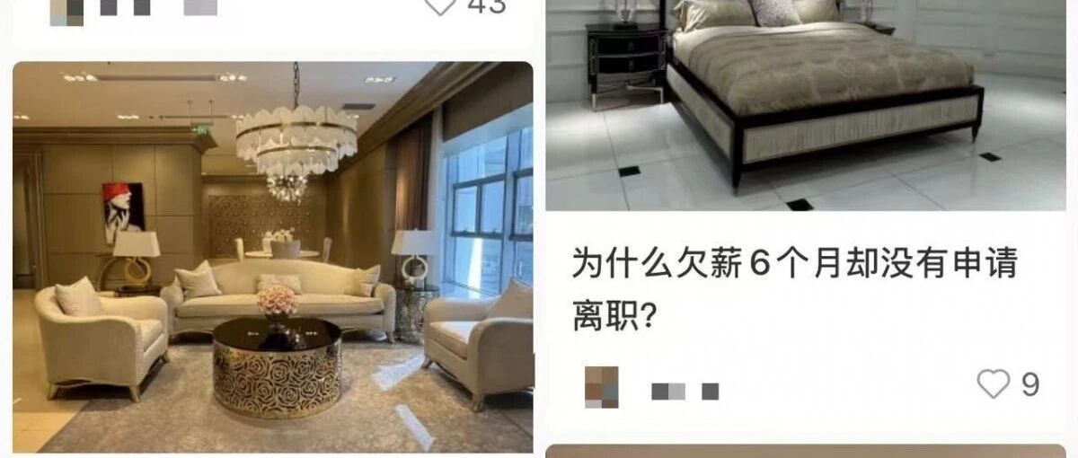 高定家居龙头陷欠薪风波，离职员工被迫“卖货抵薪”！