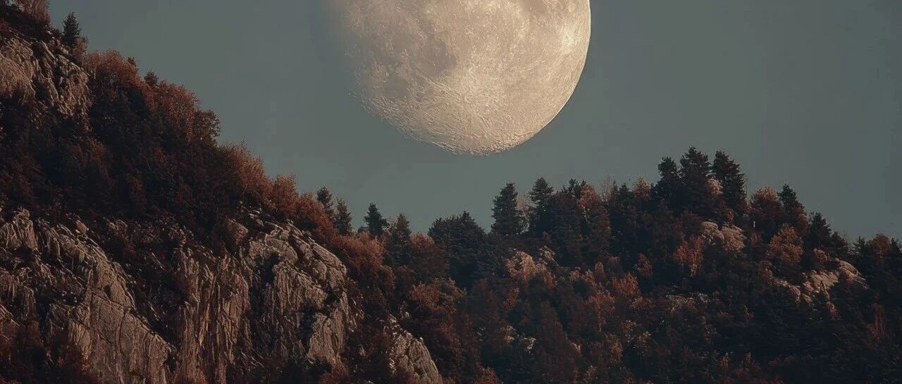 昨夜谁人望明月