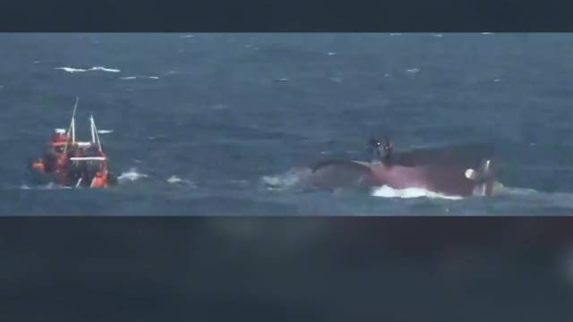 中国渔船在韩国附近公海倾覆，目前2人死亡、3人失踪，搜救画面