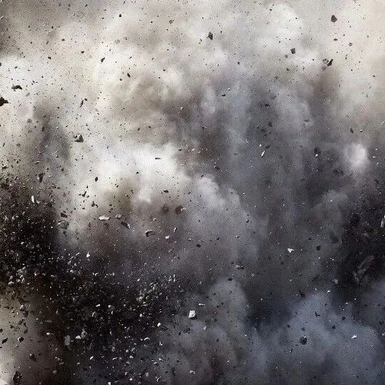 突发！14天12涨停，“大牛股”603122停牌核查，公司最新业绩：一个季度亏了504万元