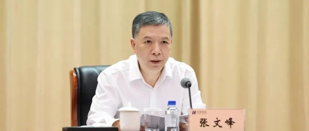 张文峰履新国网总经理，曾深耕南网34年