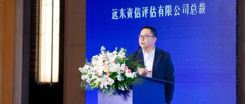 远东资信吕向东:构建创新全生命周期投融资体系 赋能雄安“十五五”创新高地建设|投融资|雄安|吕向东_新浪新闻