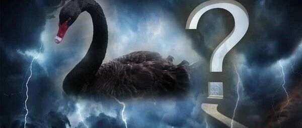 两只“黑天鹅”，突袭！