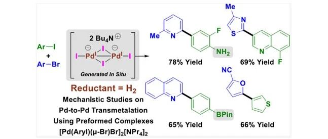 no game no life 游戏人生
