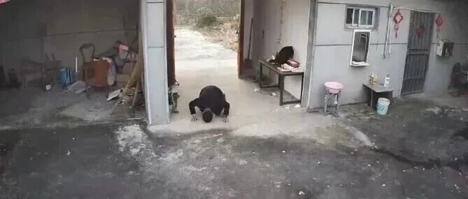 这三叩首，全网泪目！