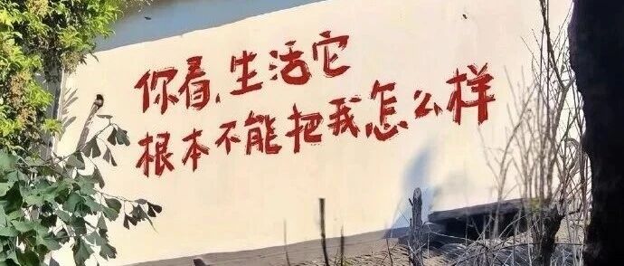 2025年11月外汇局公示处罚信息分析