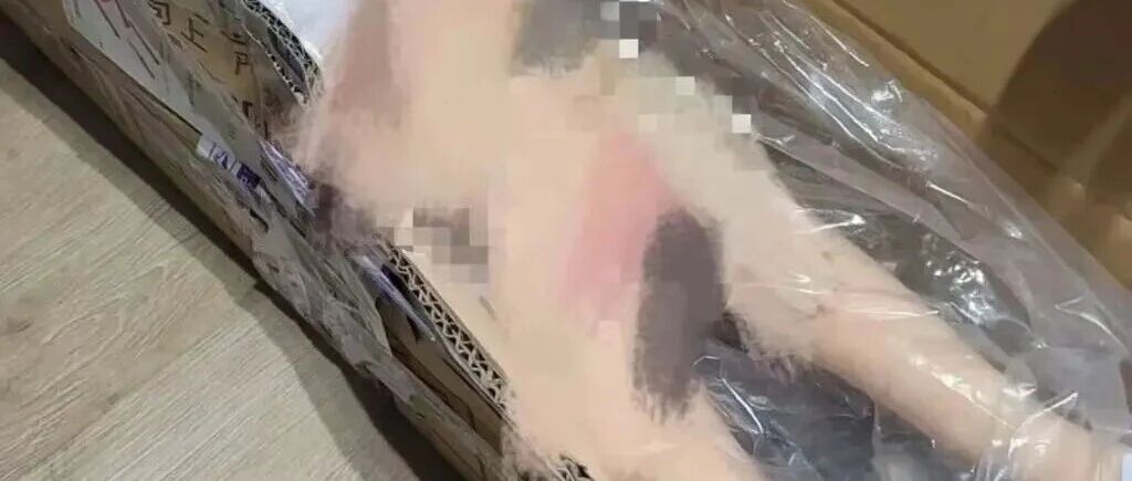 多个知名平台，售卖有儿童色情特征的娃娃