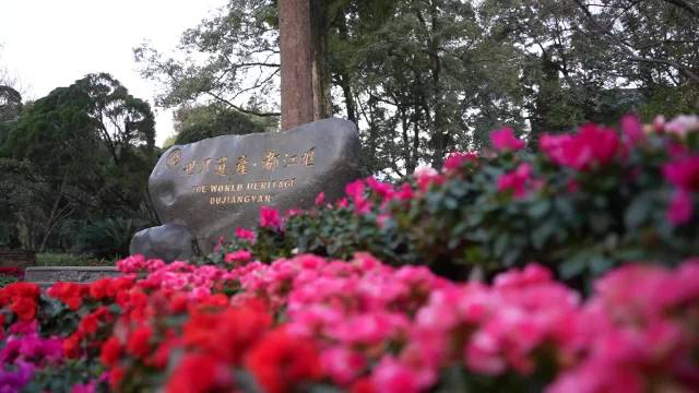 大国外交最前线丨玉垒山下、岷江之畔，在都江堰感受中国“治”慧