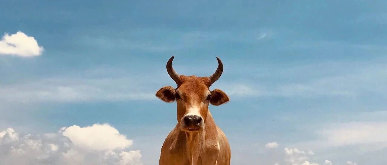 今夜！暴涨，创新高！