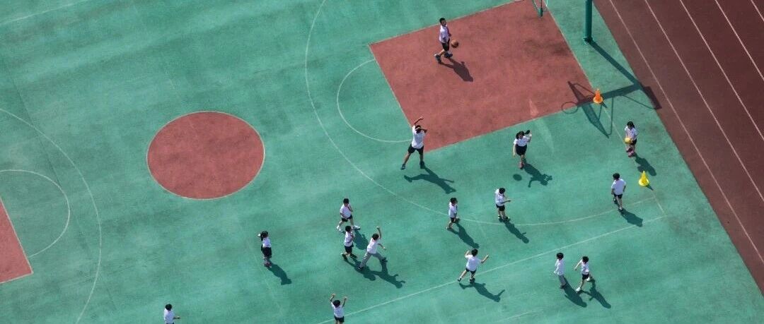 民间物议｜达峰！小学生人数，开始减少了