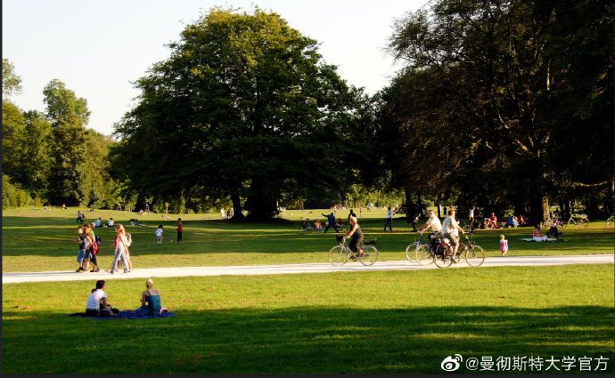 期末考试遇枪击，美国大学生心理健康如何应对？