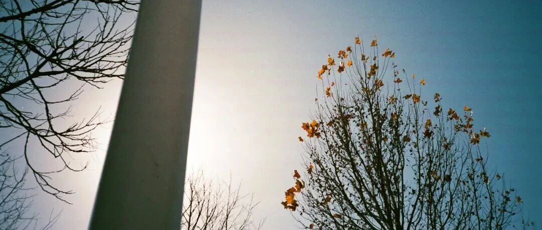 天空穿上了婚纱｜西坡上二三事