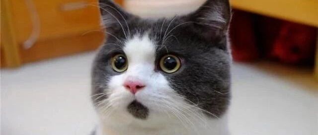 今晚，涨疯了！