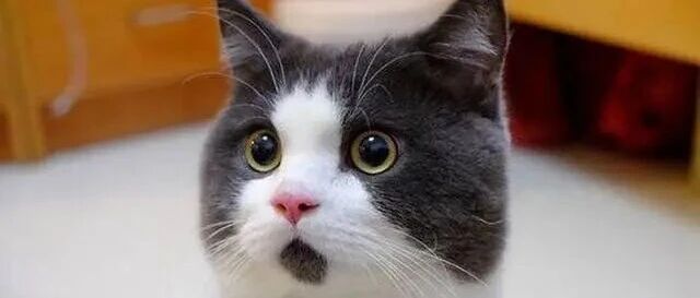 周末突发！巨亏100亿