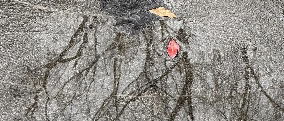 把全世界都厌恶过了