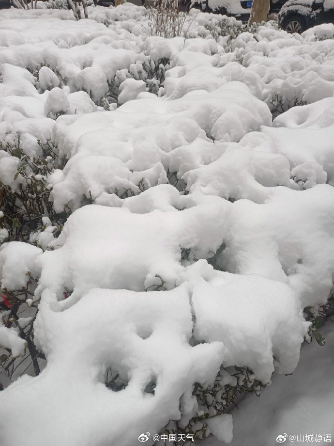 山西多地积雪深度打破3月纪录|山西省|山东省|暴雪|河南|河北_手机新浪网