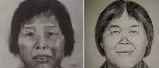 人贩子“梅姨”落网，对贩卖儿童事实供认不讳