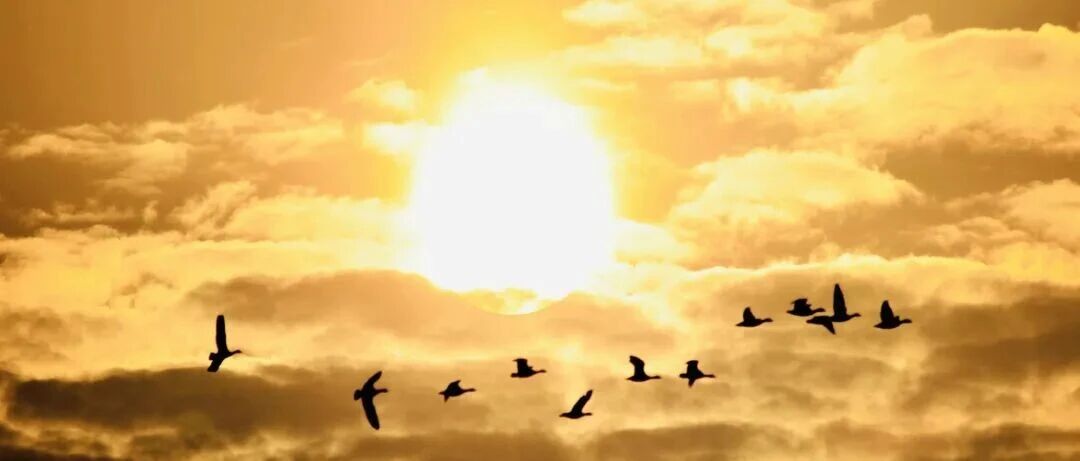 说说万人送别张雪峰，说说浮见收到的一条真心建议！