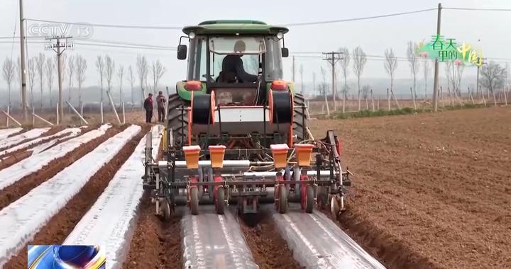 当春耕遇到繁花 春天里的中国正上演“耕耘绽放”双重奏