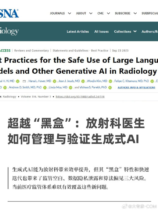 当生成式AI被迫开盒,ChatGPT如何平衡算法机密性与监管透明度?|放射科|模型|数据|风险|测试_手机新浪网