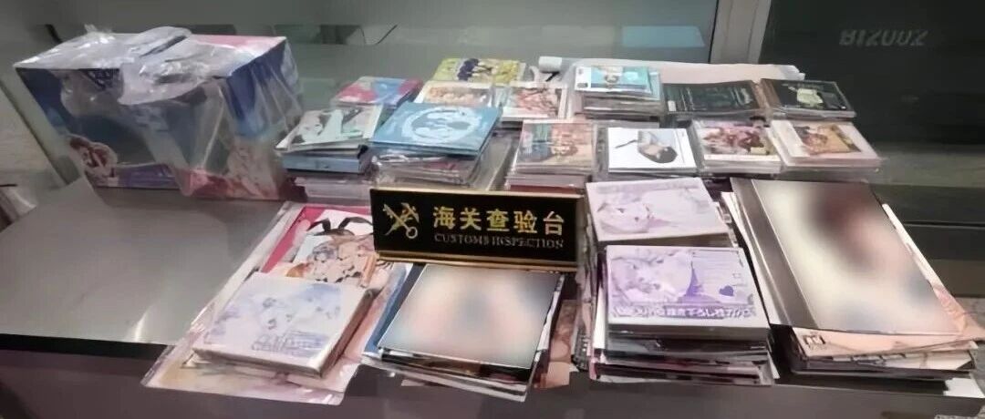 女子从日本“人肉”背回244本淫秽漫画，被判刑