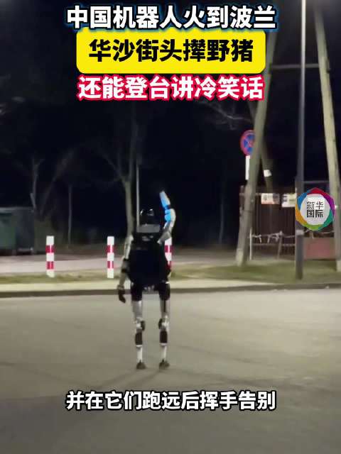 中国机器人火到波兰：街头撵野猪 登台讲笑话
