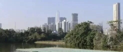 男子发帖称工作太清闲后被公司调岗