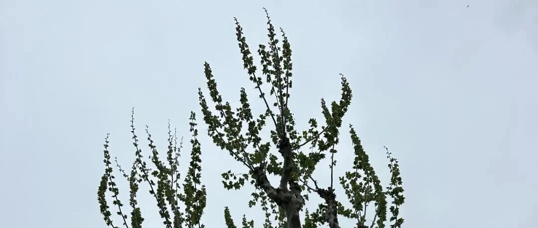 千年的压抑循环，该结束了