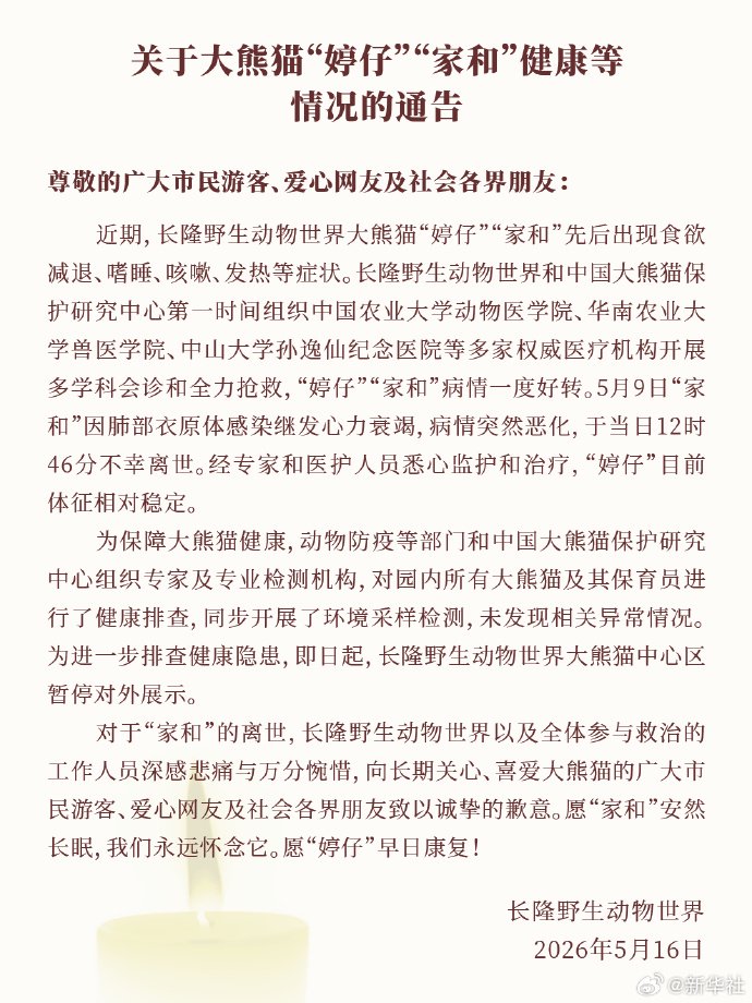 广州长隆野生动物世界：大熊猫“家和”因病离世 “婷仔”目前体征相对稳定
